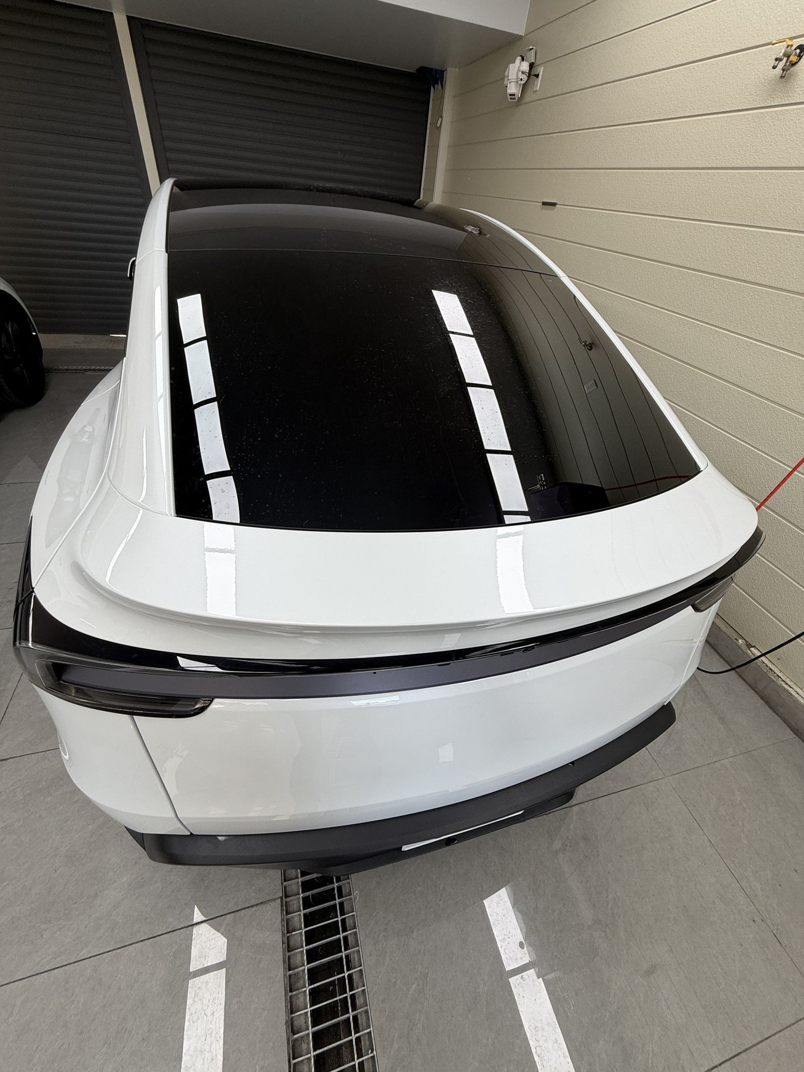 Tesla Model Y Pearl White clear PPF rear top view